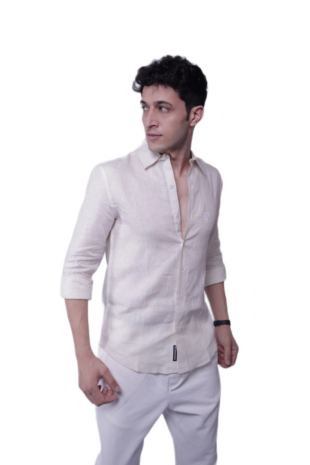 Timeless Premium Regular Fit Pure Linen Shirt