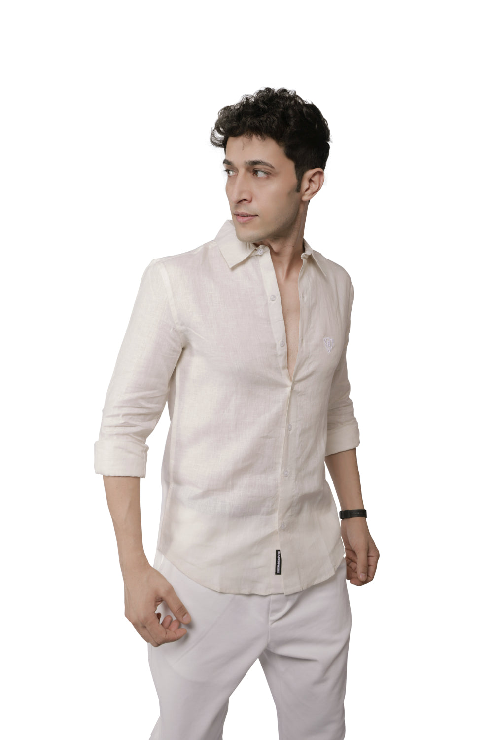 Timeless Premium Regular Fit Pure Linen Shirt